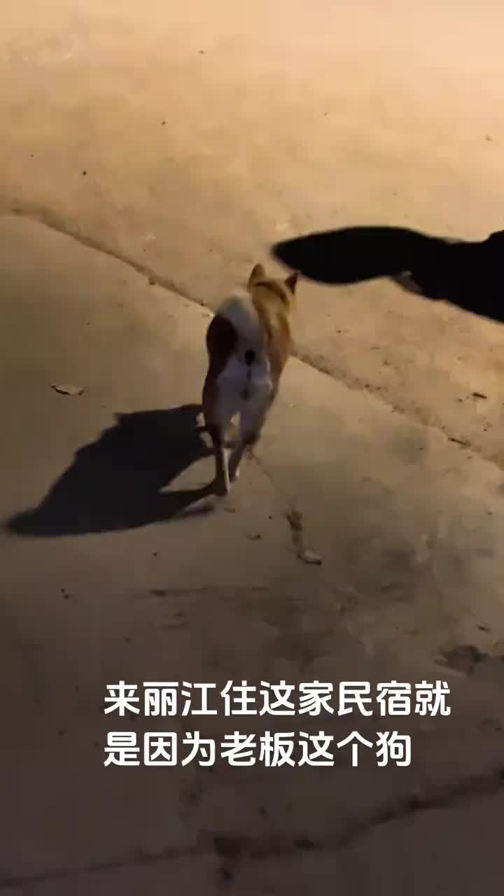 轻松一刻：难以想象，我真的回到了五一假期前一天