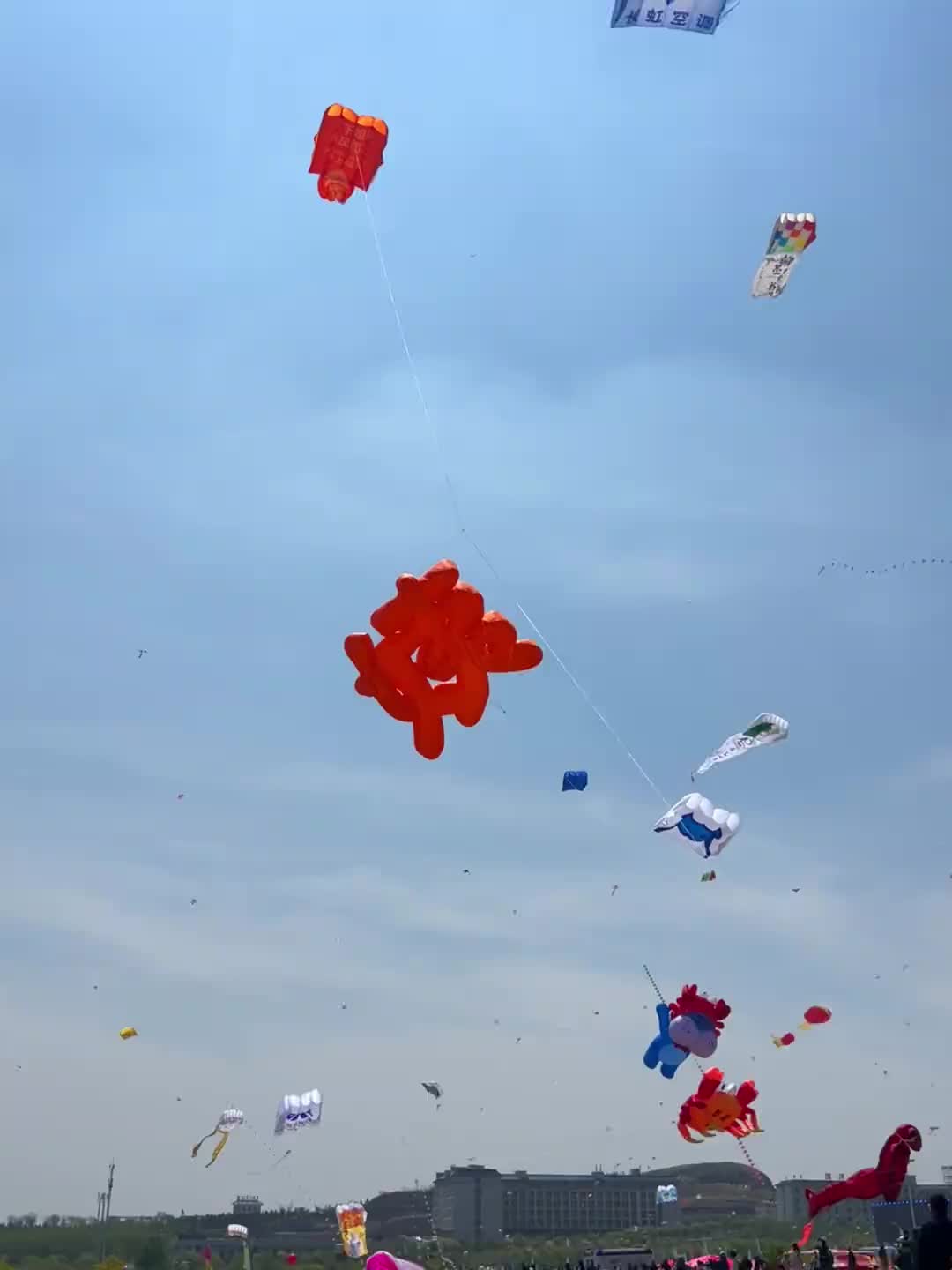 轻松一刻：开车去考科一，大妹子这对吗？