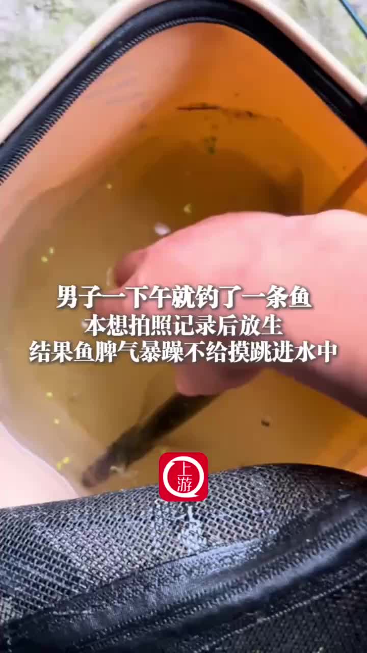 轻松一刻：男子激情破窗跳楼，结果……是个喜剧