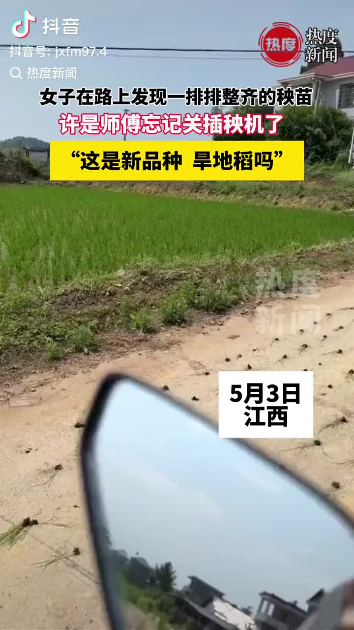 轻松一刻：可以玩抽象，但不要太过粪！