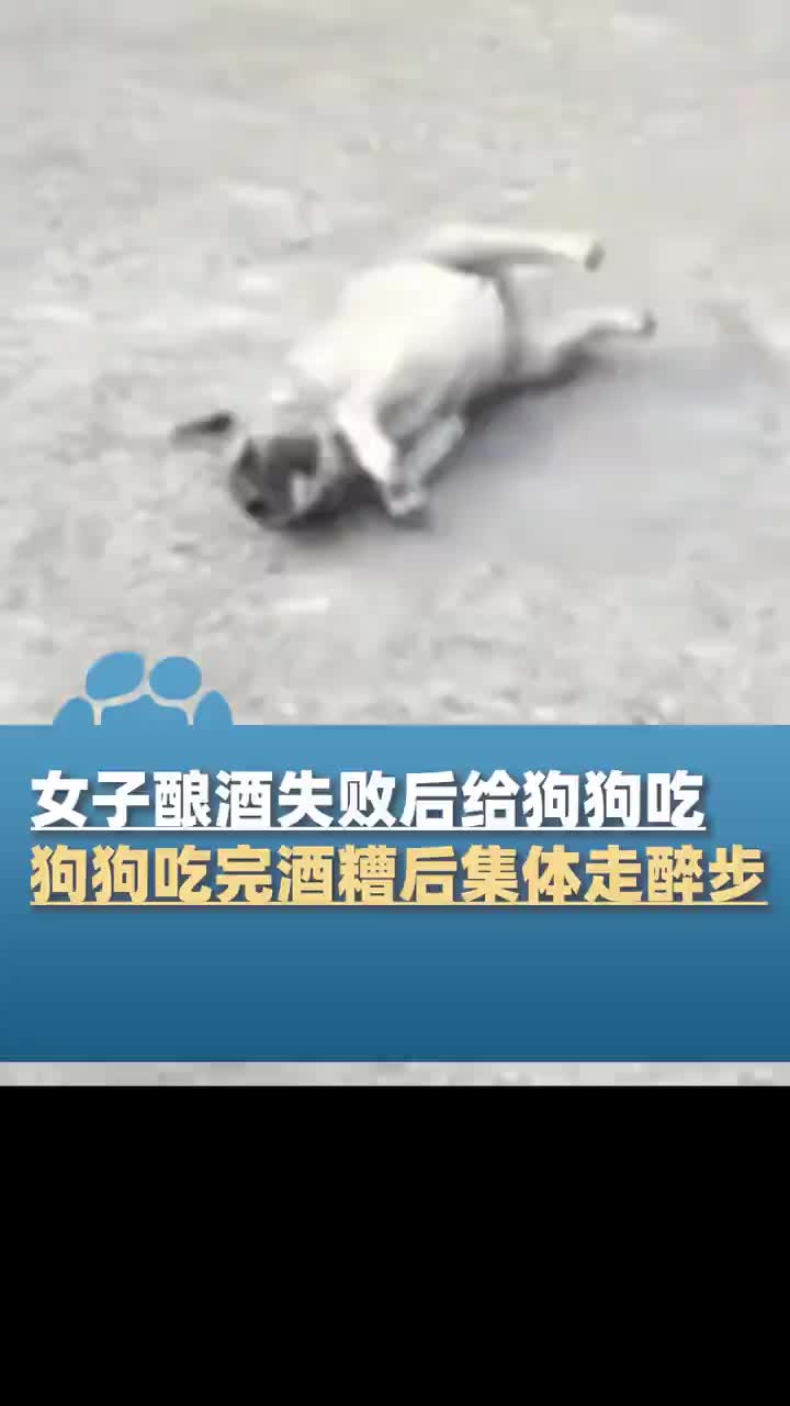 轻松一刻：自从有了我不行了这个词，我就再没行过