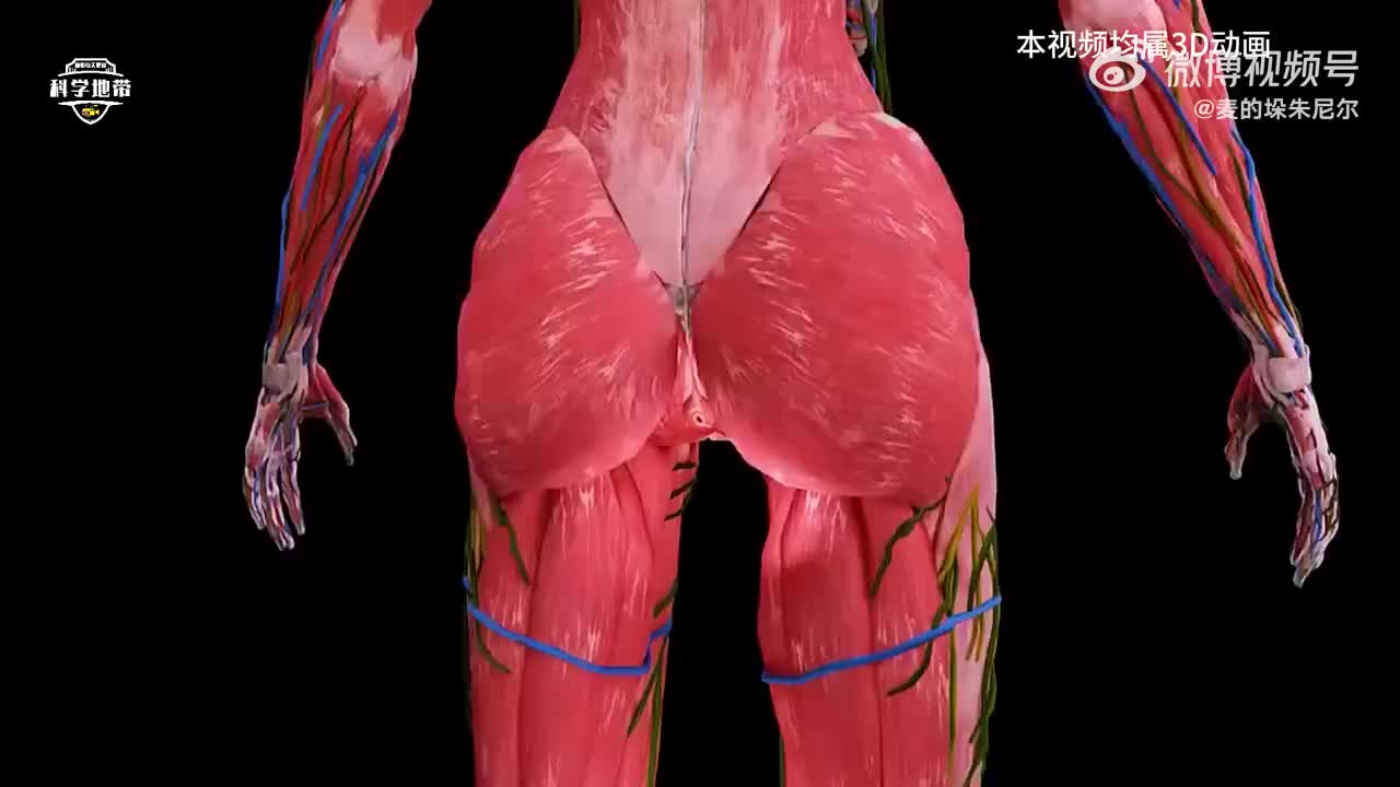 轻松一刻：是金子总会发光，是吧铁子？