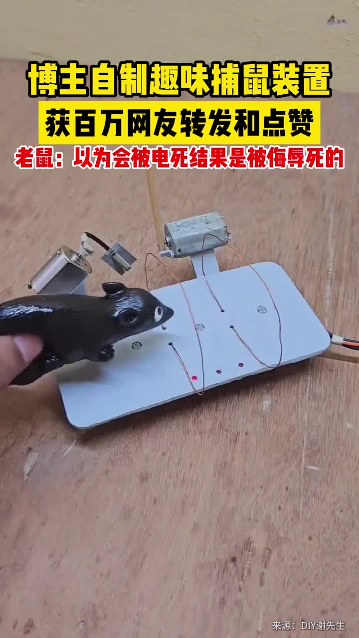 轻松一刻：是金子总会发光，是吧铁子？