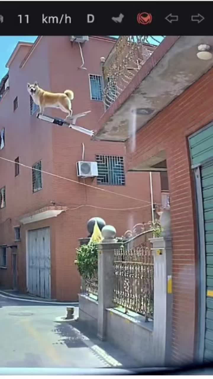 轻松一刻：你们幸福吧，别真发财了就行！