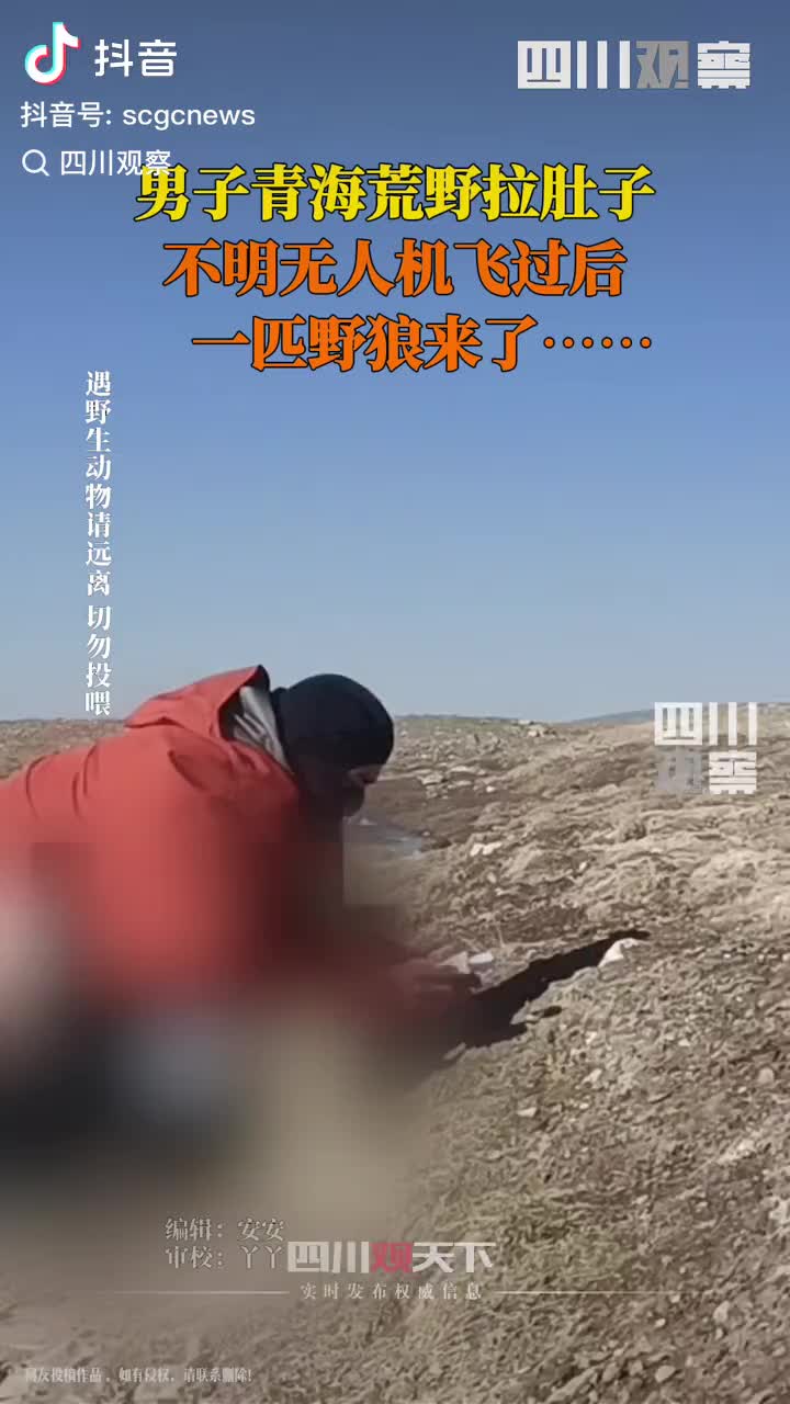 轻松一刻：520的真正解释，令人信服！