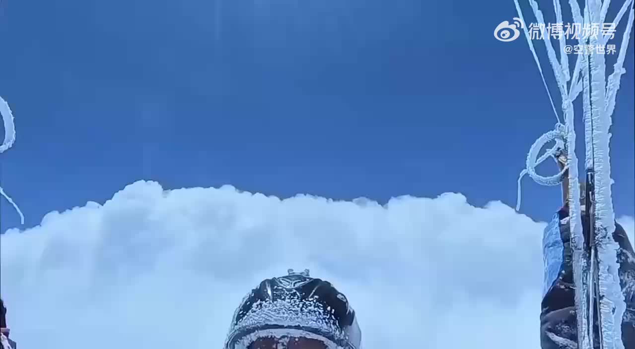 轻松一刻：金窝银窝不如自己的狗窝