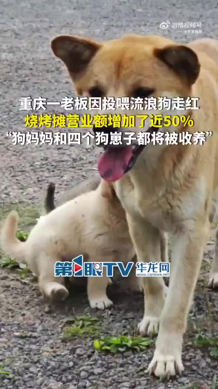 轻松一刻：我的薪水可以锁住购物欲，这叫随薪锁欲