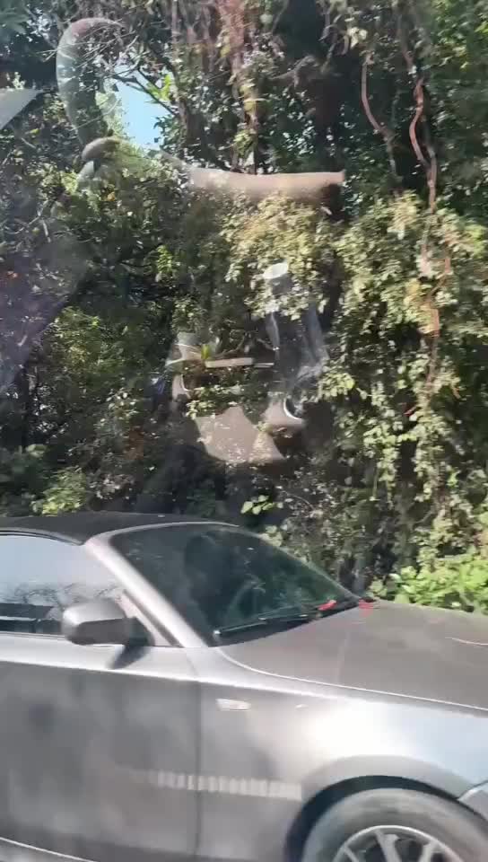 轻松一刻：活着全靠命硬，快乐全靠意淫