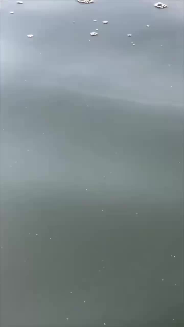 轻松一刻：现在才明白穷人都有拖延症，因为怕花钱