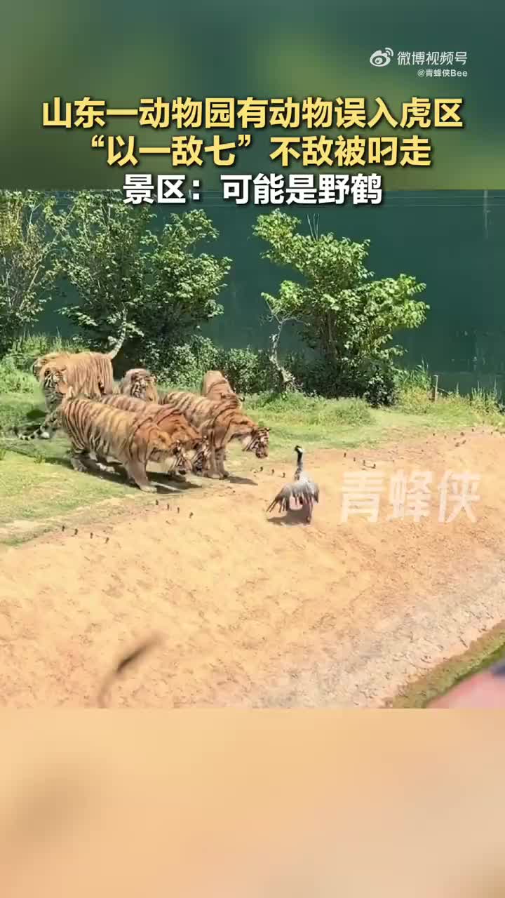 轻松一刻：现在才明白穷人都有拖延症，因为怕花钱