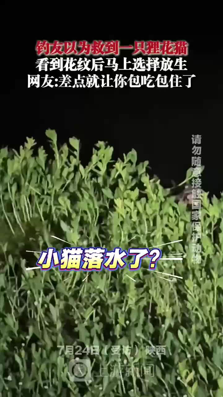 轻松一刻：我在寺庙许的愿，全让和尚实现了！