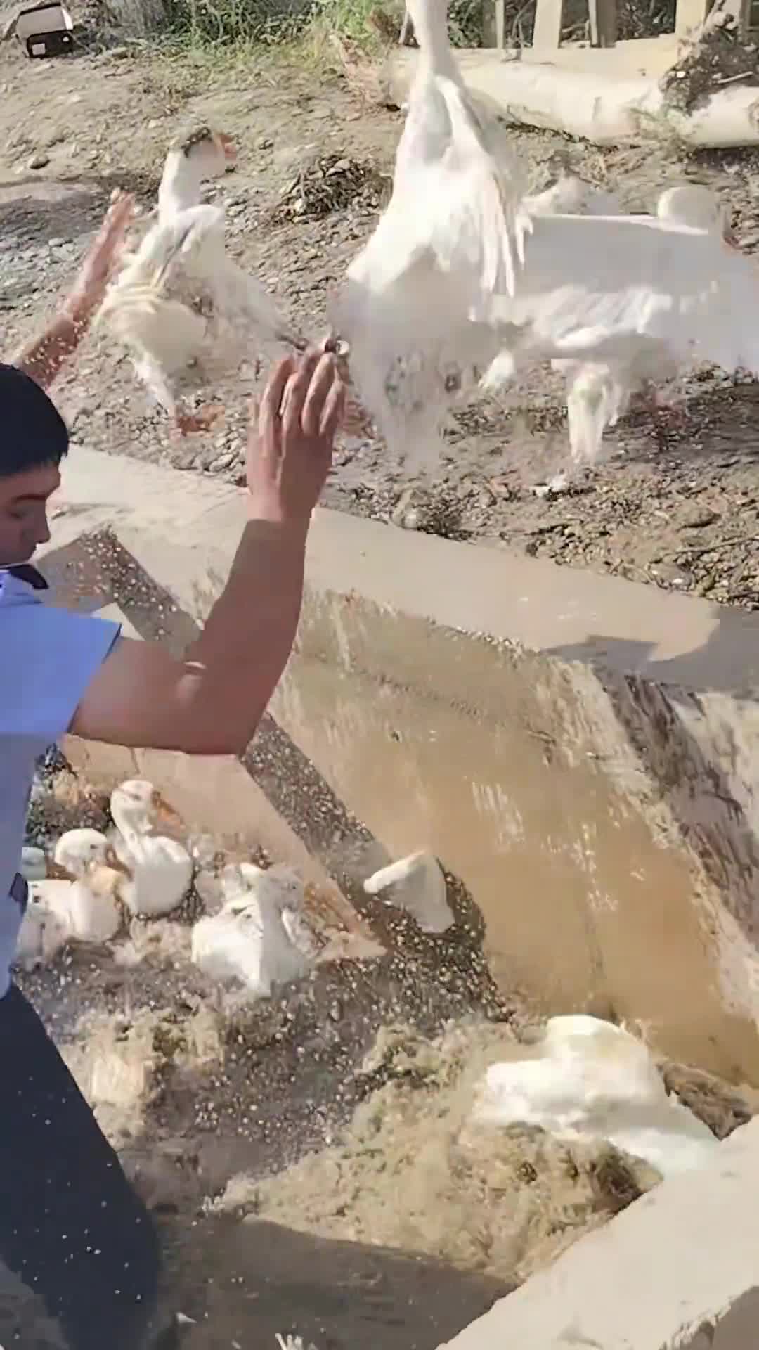 轻松一刻：谁家的老婆啊，不要我就拾走了