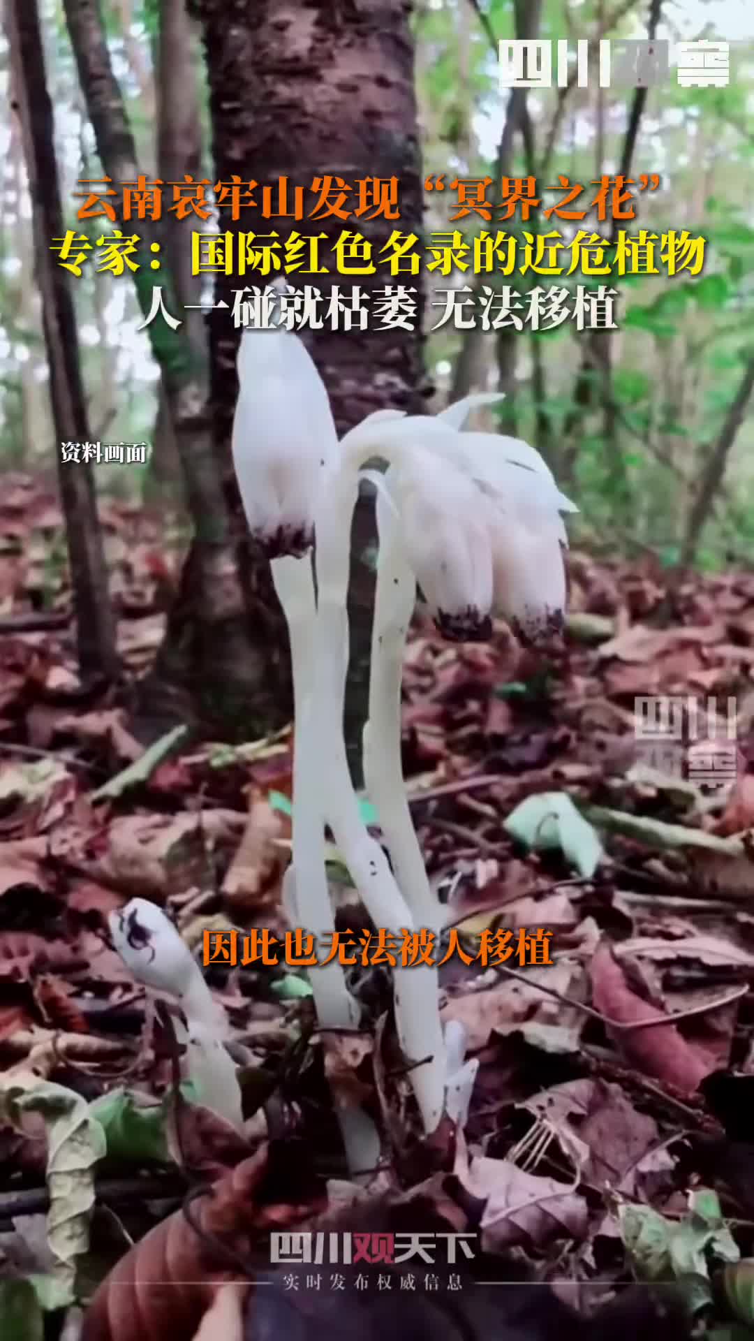 轻松一刻：谁家的老婆啊，不要我就拾走了