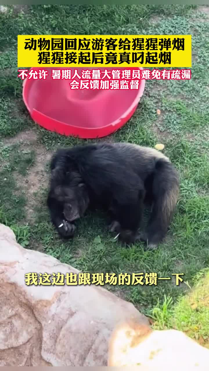 轻松一刻：其实我是钱失禁体质，一旦没钱了就想哭