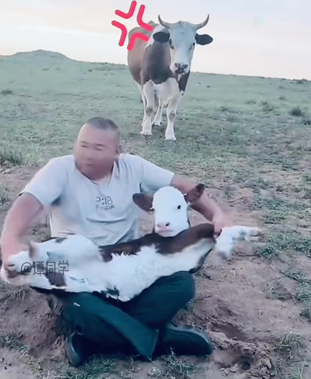 轻松一秒：现在的老年机真是强的可怕！