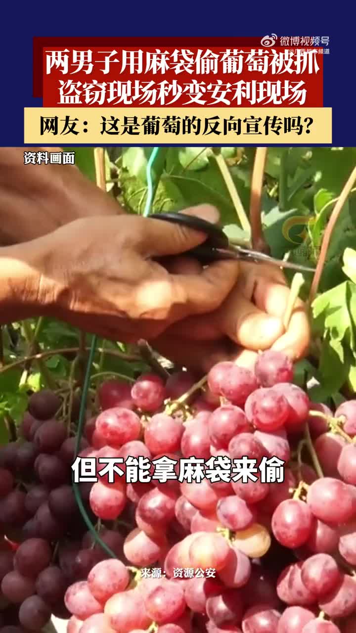 轻松一刻：这种家电下乡，它有补贴吗？