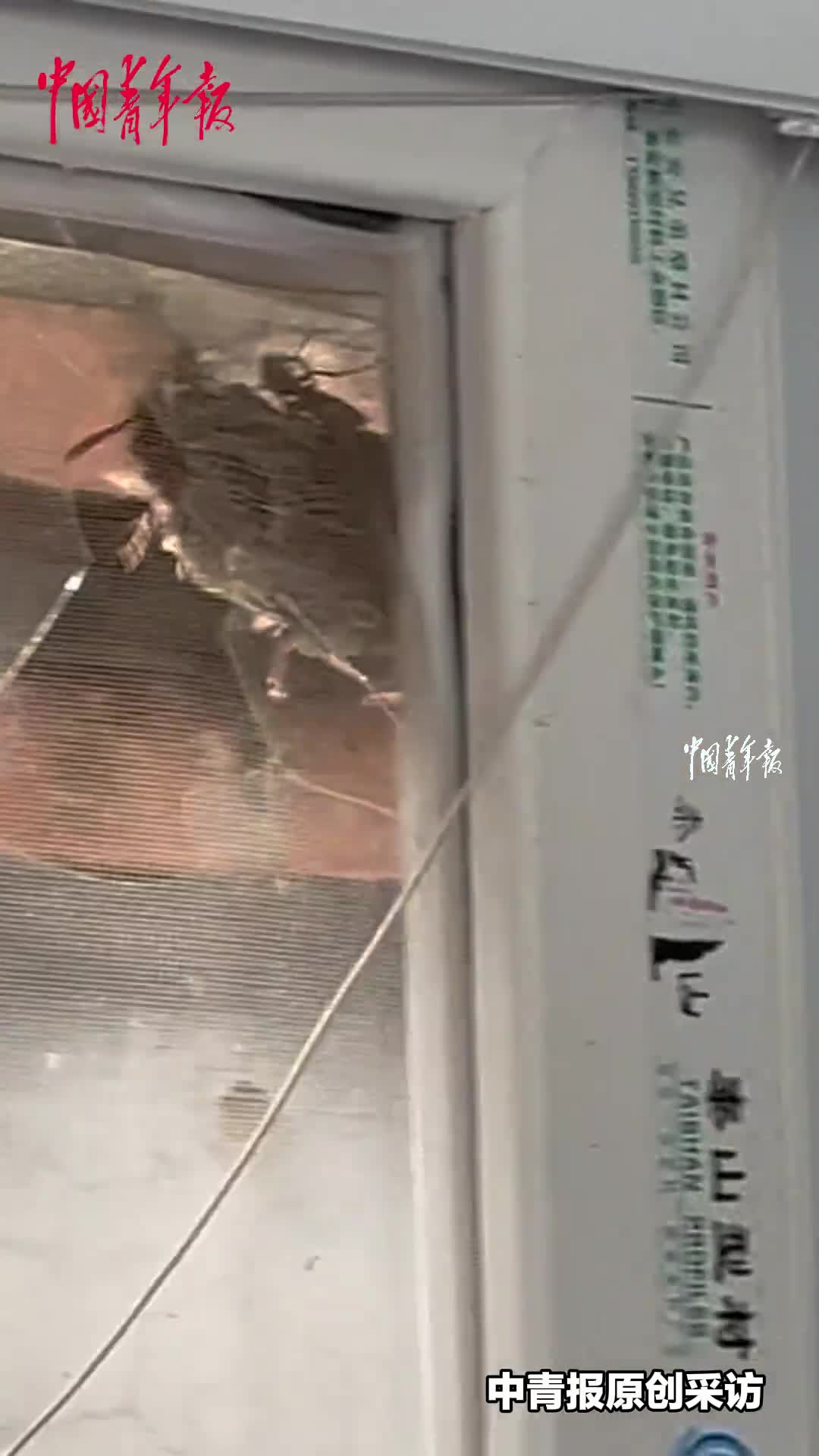 轻松一刻：你们仨把日子过好，比啥都强