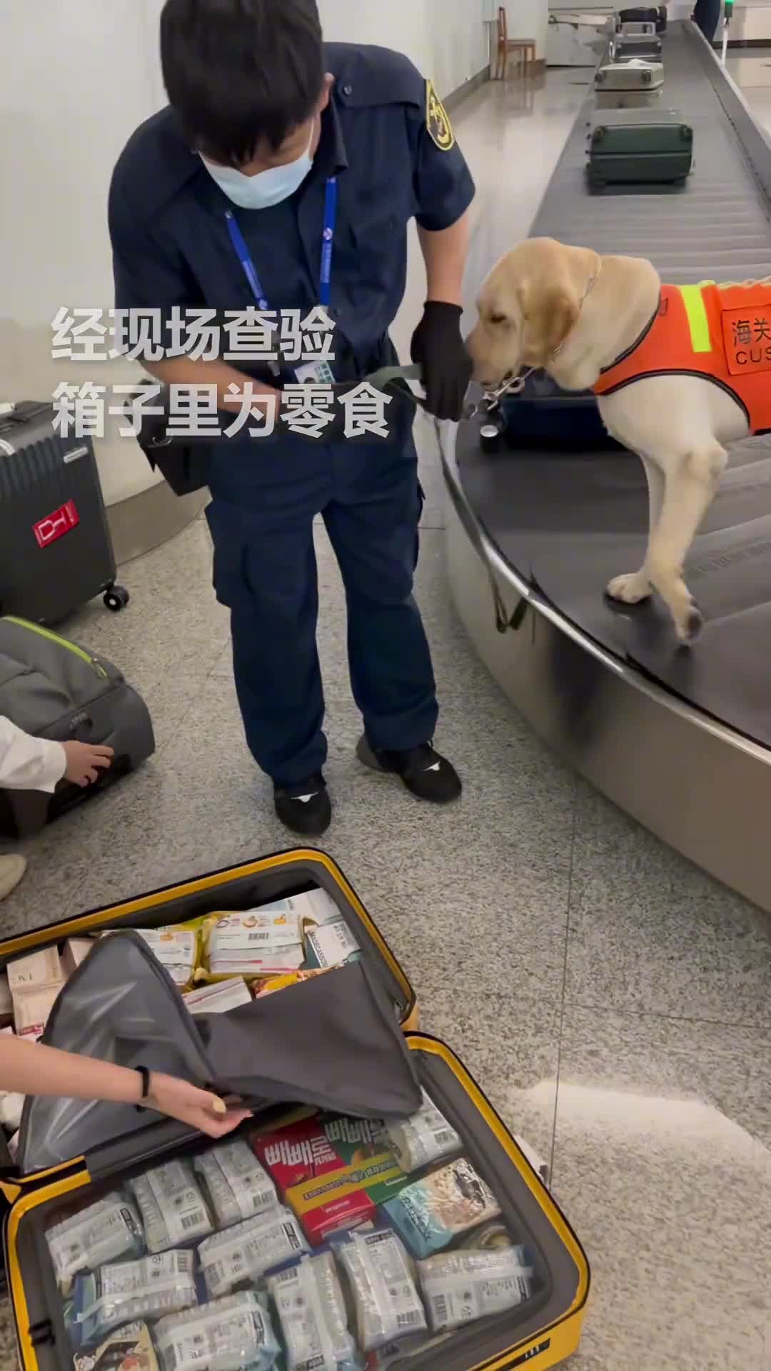 轻松一刻：你们仨把日子过好，比啥都强