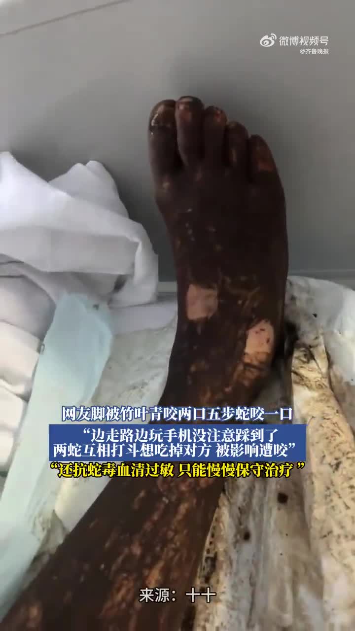 轻松一刻：这可真是一手好牌啊！