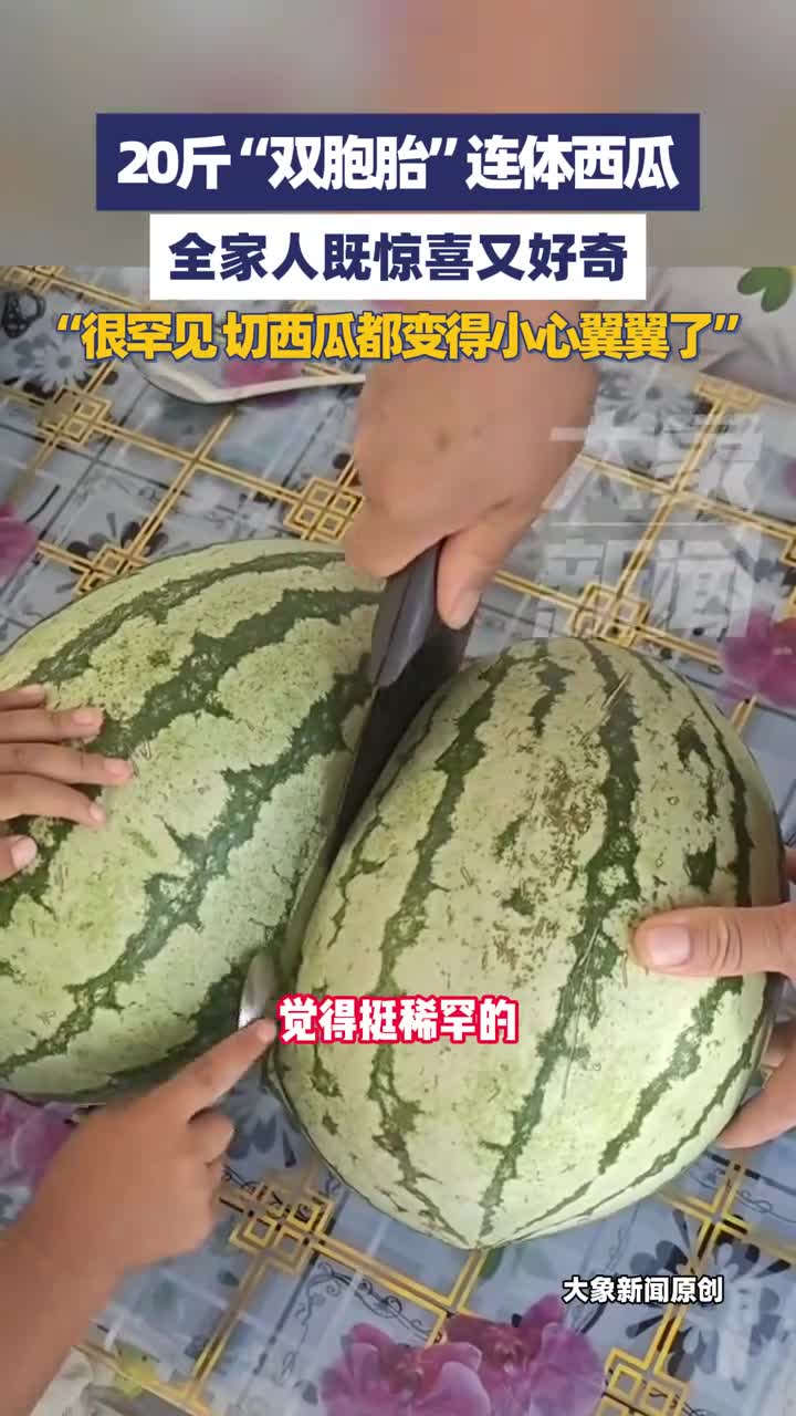 轻松一刻：有钱人终成眷属，没钱人亲眼目睹