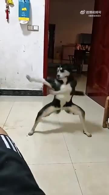 轻松一刻：人生处处碰壁，但就是碰不到人民币