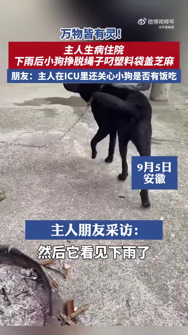 轻松一刻:19岁KTV上班94天赚12万8?什么起号方式?