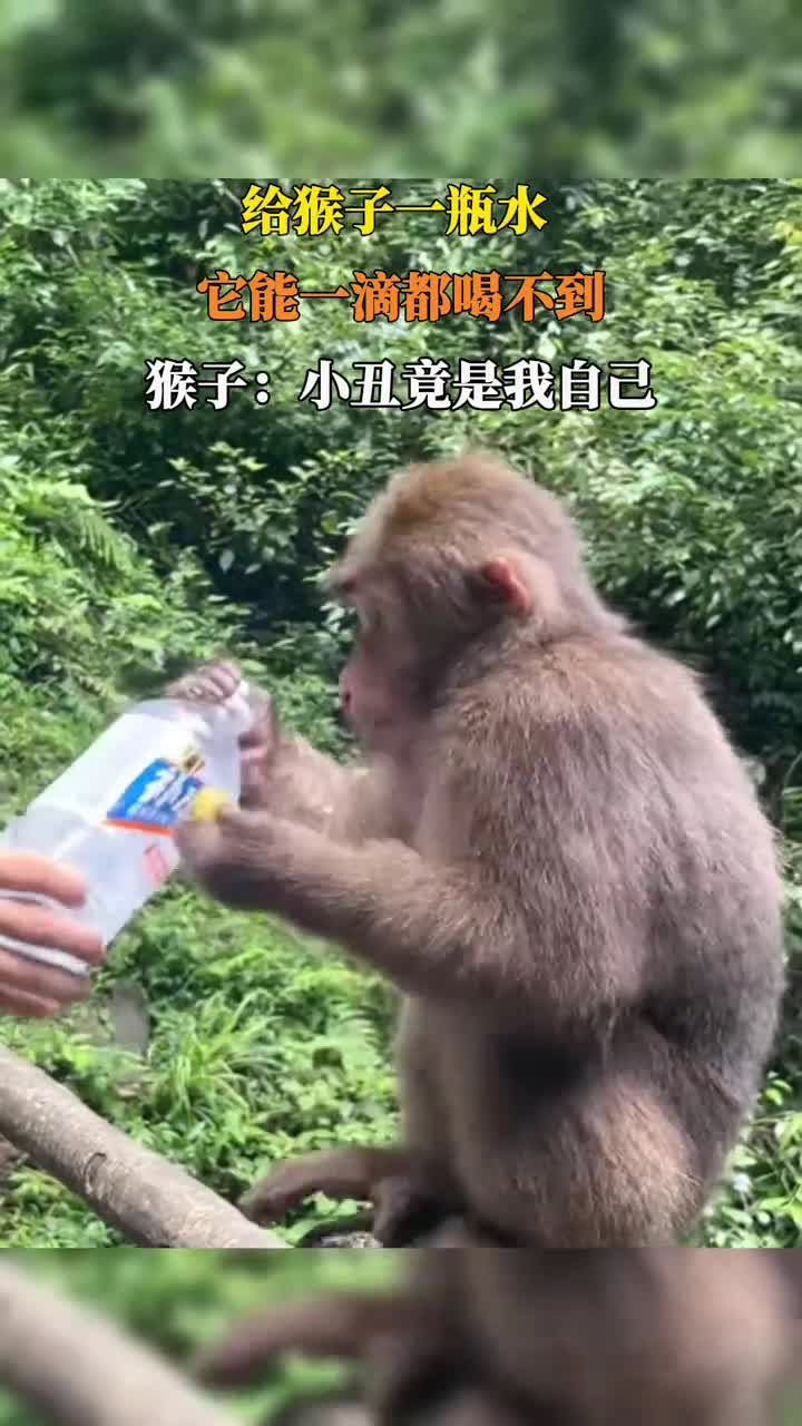 轻松一刻：大姐灵机一动，让全国老登奔赴白城