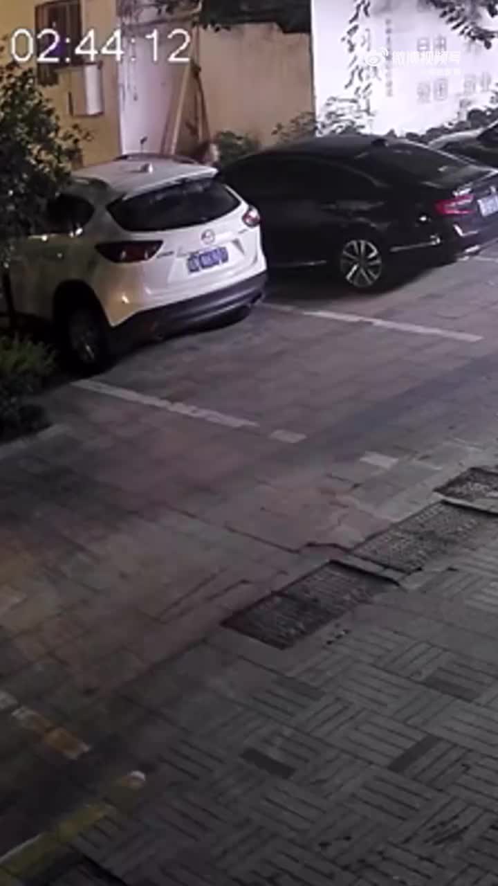 轻松一刻：豆橛子月饼出现，山东的朋友你们开心吗