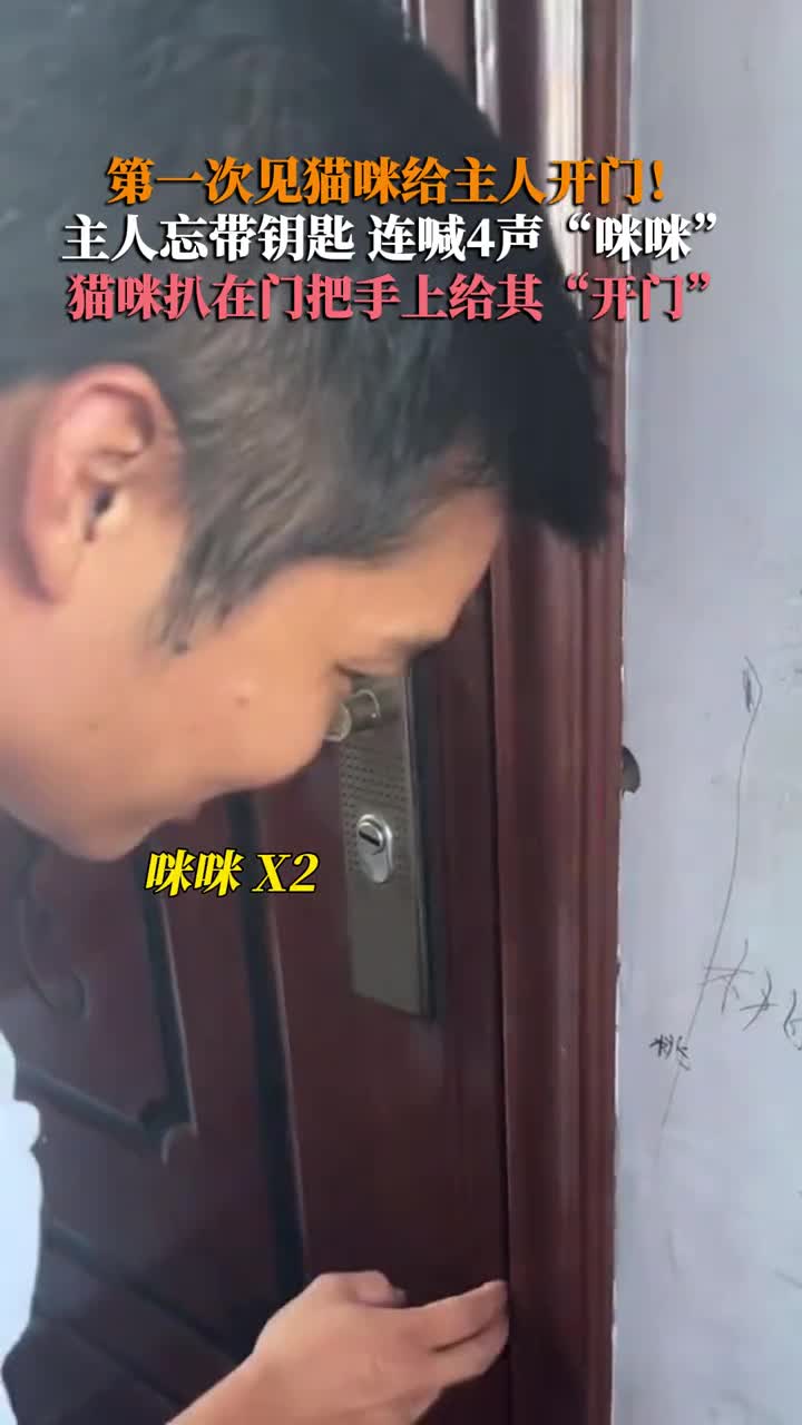 轻松一刻：不管你是谁，赶紧从贾老板身上下来