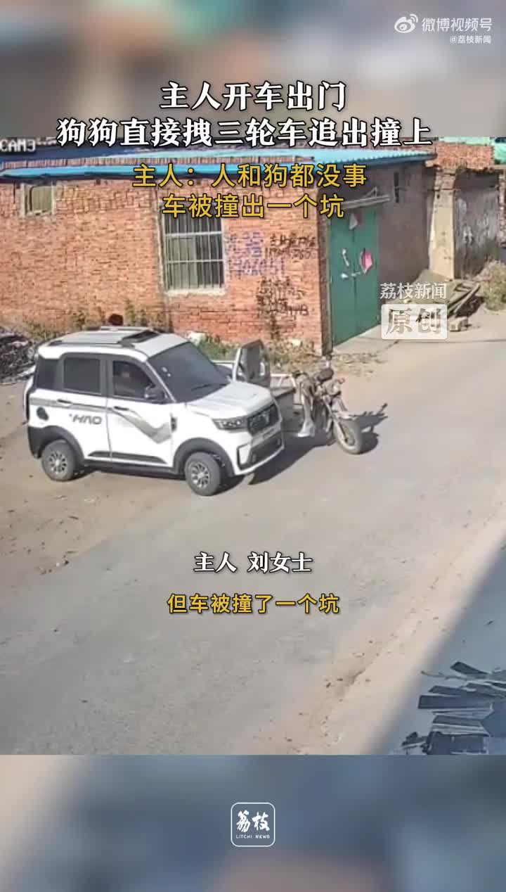 轻松一刻：盲女外卖员与植物人…小作坊下药就是猛