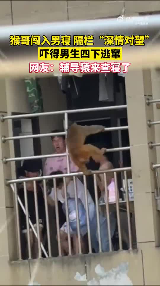 轻松一刻：你们三个把日子过好，比啥都强！