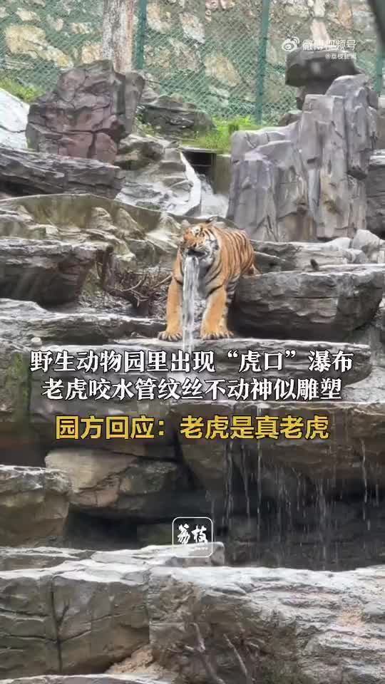 轻松一刻：在江西，连纸巾都是辣的