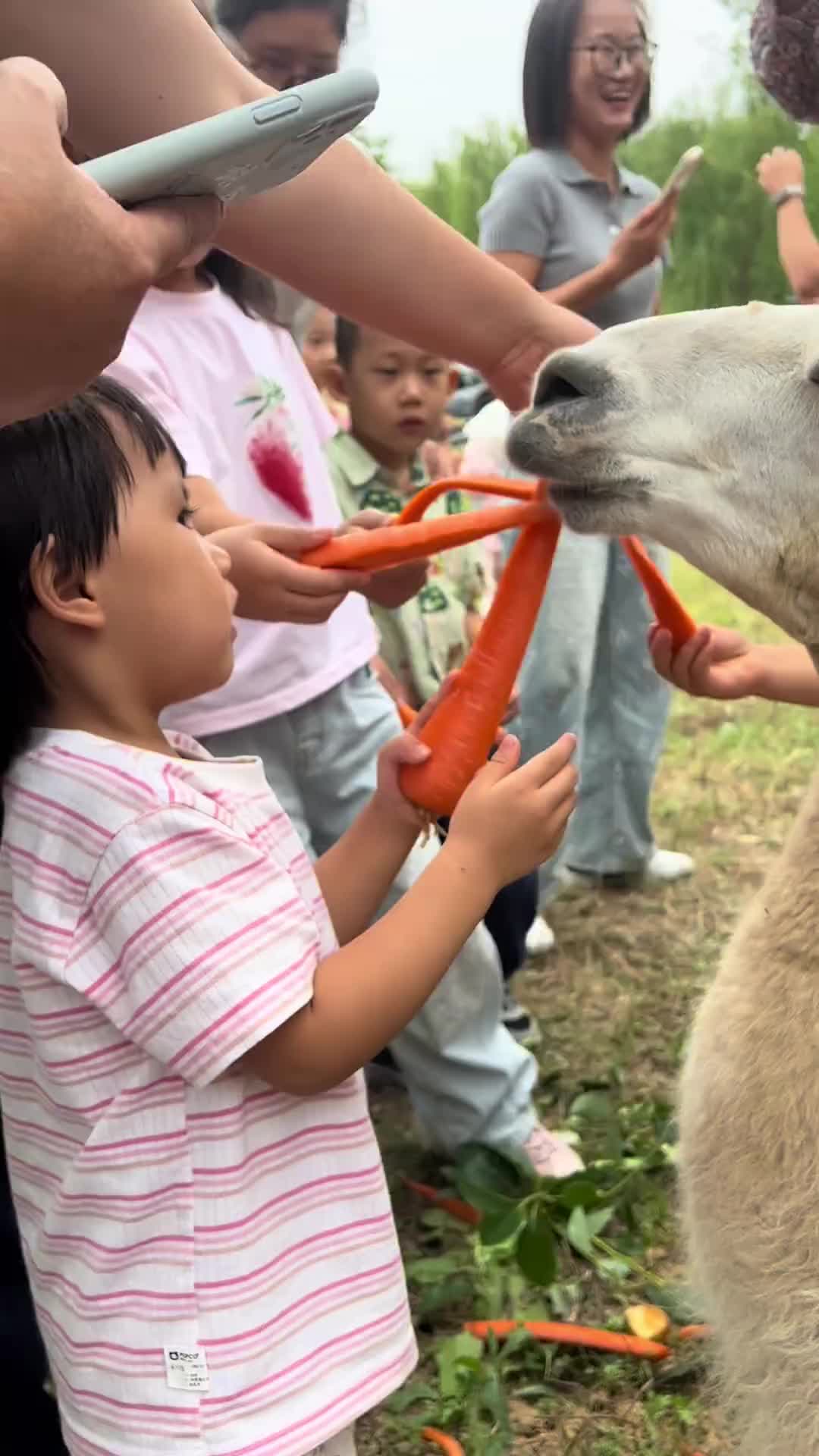 轻松一刻：在外有思乡病的，回家被骂一顿病就好了