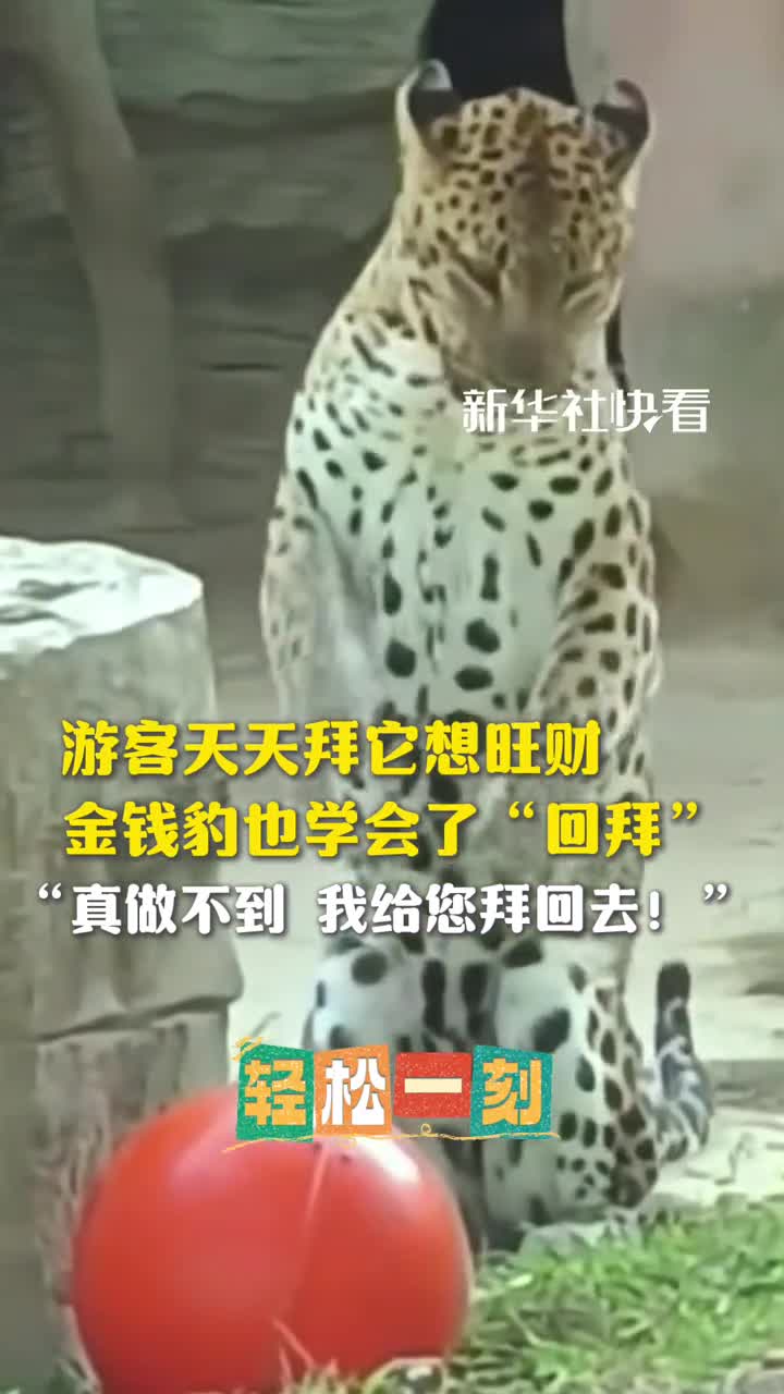 轻松一刻：有找工作的吗？看看合适不？