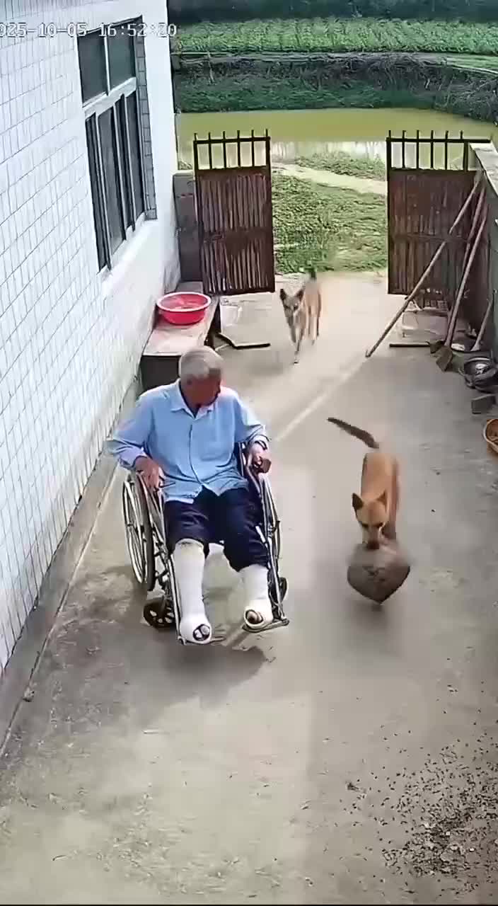 轻松一刻：开始我是想拒绝的，但她给的太多