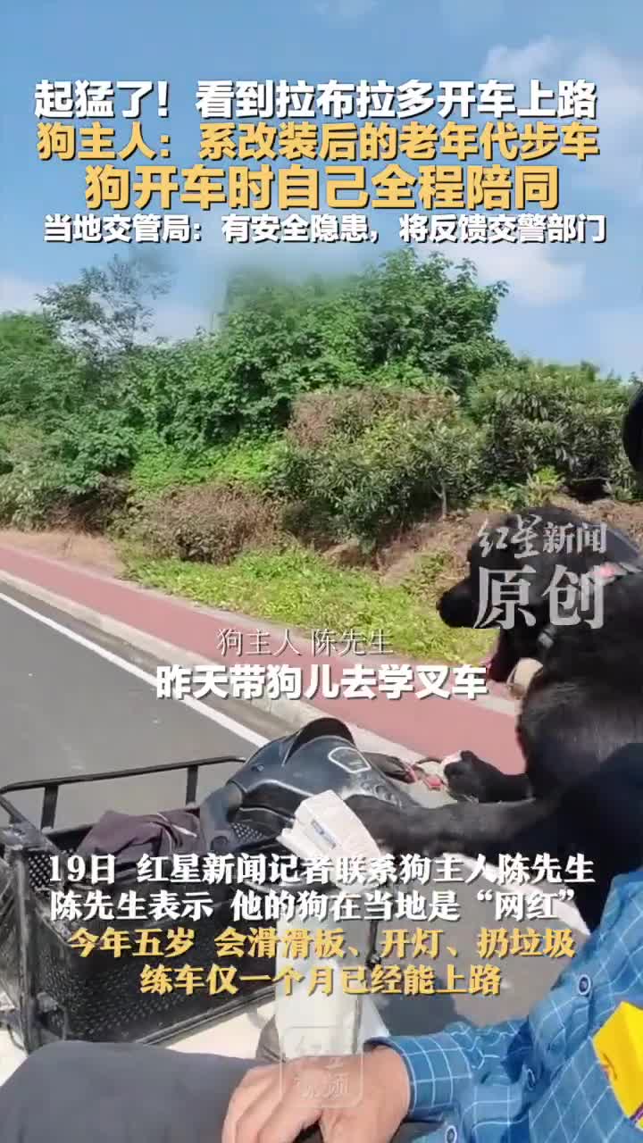 轻松一刻：有钱人的品味，很难说的！