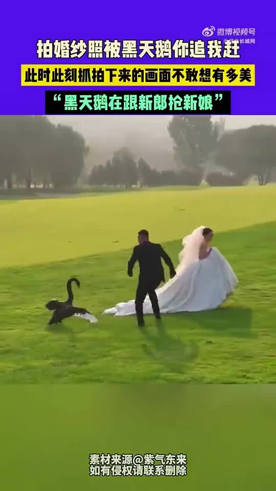 轻松一刻：提车了，全款拿下，大家恭喜我吧！