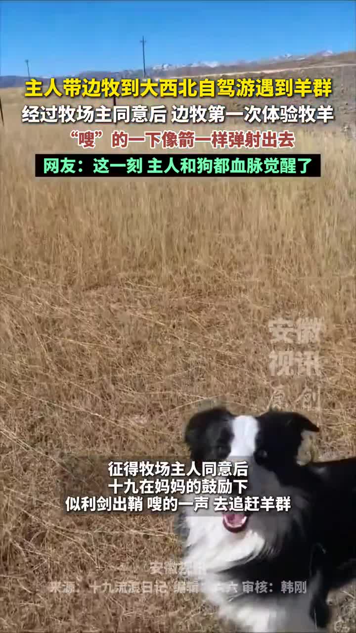 轻松一刻：提车了，全款拿下，大家恭喜我吧！