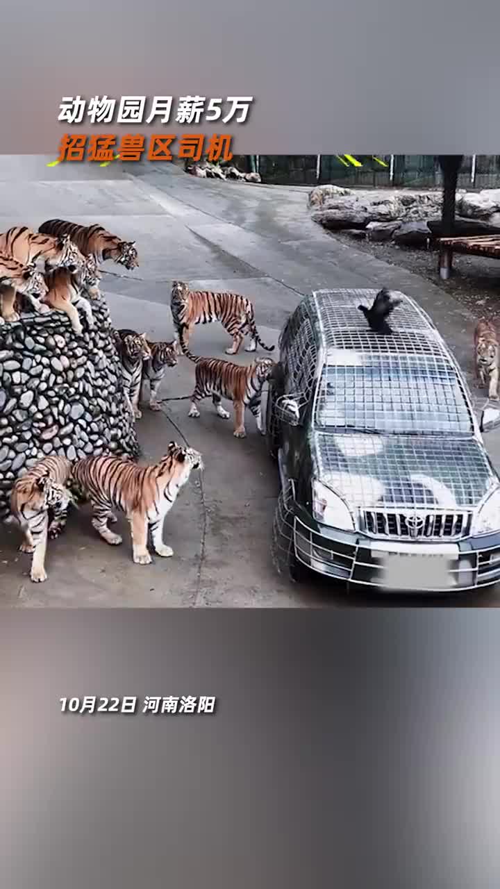 轻松一刻：减肥哪有那么难，只要迈开腿就行了