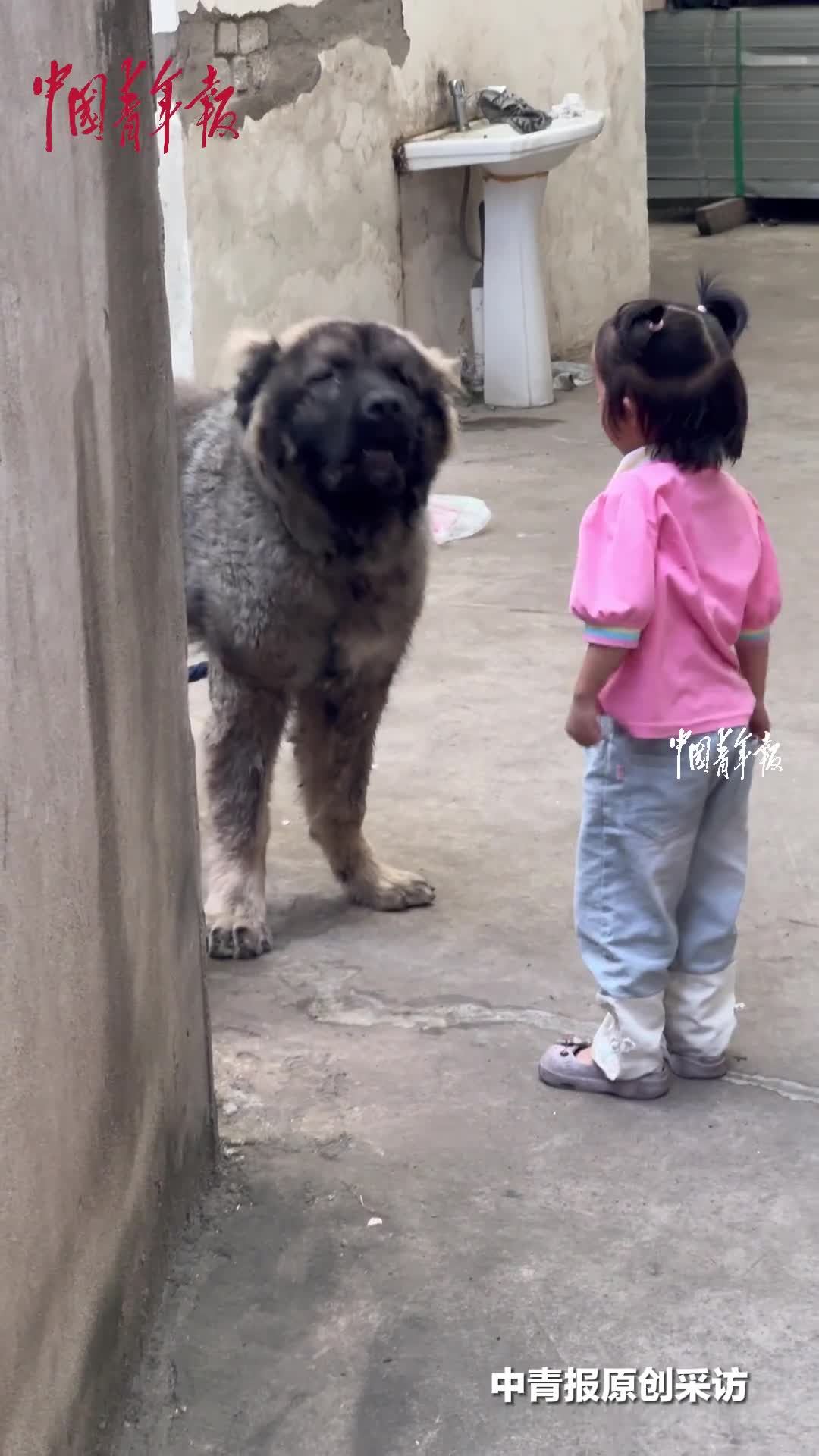 轻松一刻：生活跟我开了一堆玩笑，我一个没笑