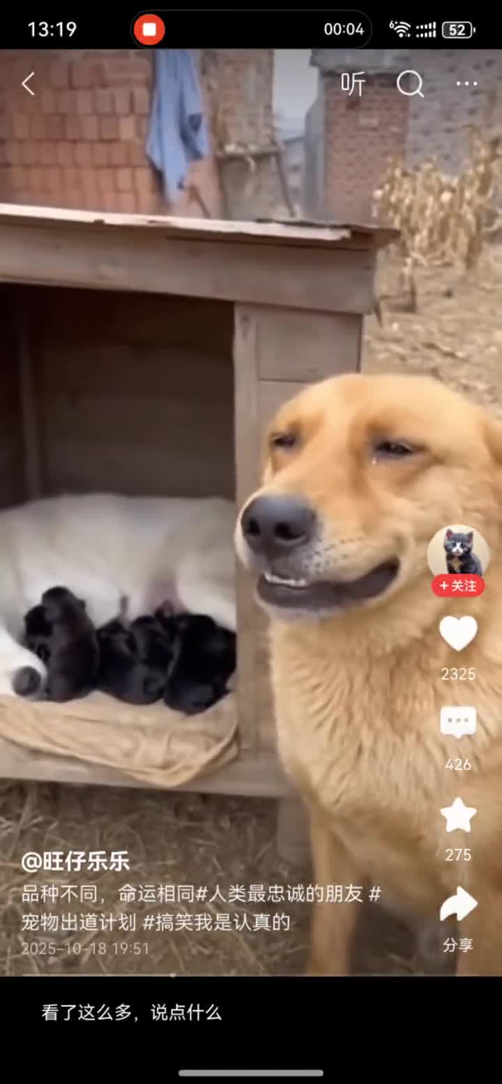 轻松一刻：KTV遇到她，该怎么办？