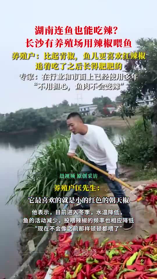 轻松一刻：正式确诊为鲁滨逊，喜欢星期五