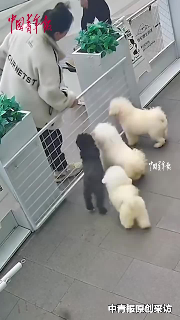 轻松一刻：你若不想熬夜，只能和手机分房睡