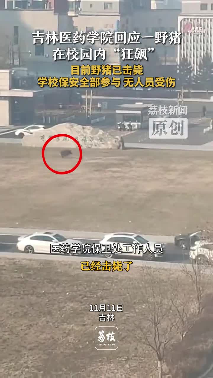 轻松一刻：美国骆驼祥子，一小时1000美元