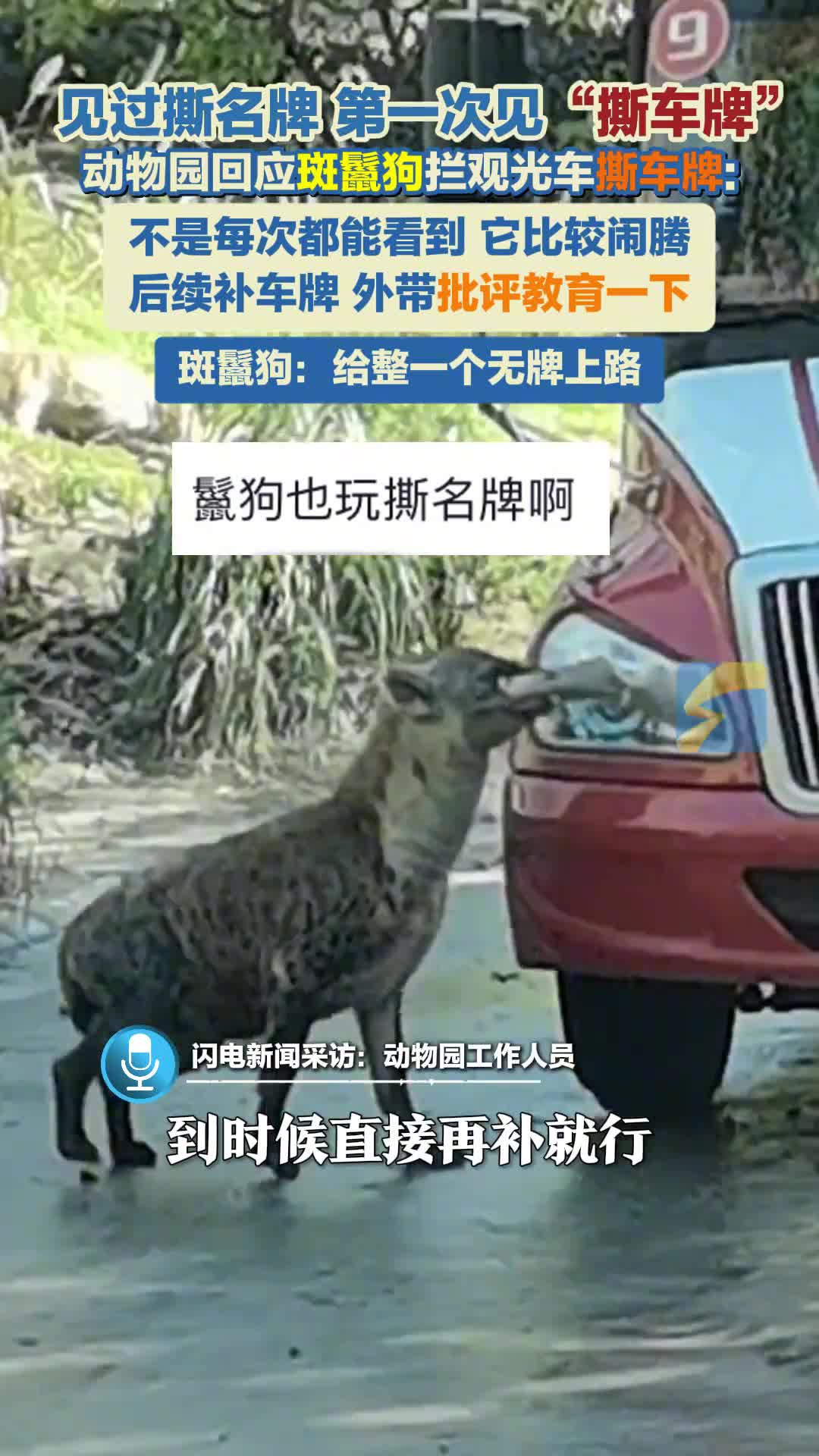 轻松一刻：陌生的城市啊，熟悉的角落里