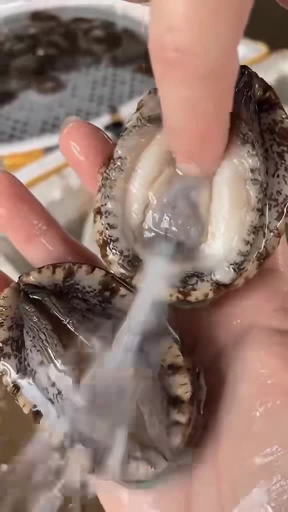 轻松一刻：路虎都那么用力撞了，歹徒还是活着