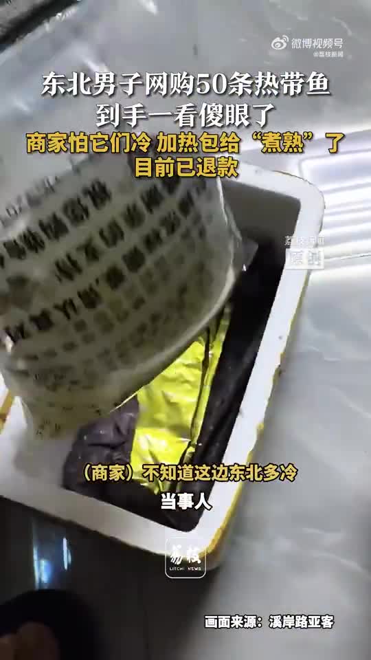 轻松一刻：路虎都那么用力撞了，歹徒还是活着