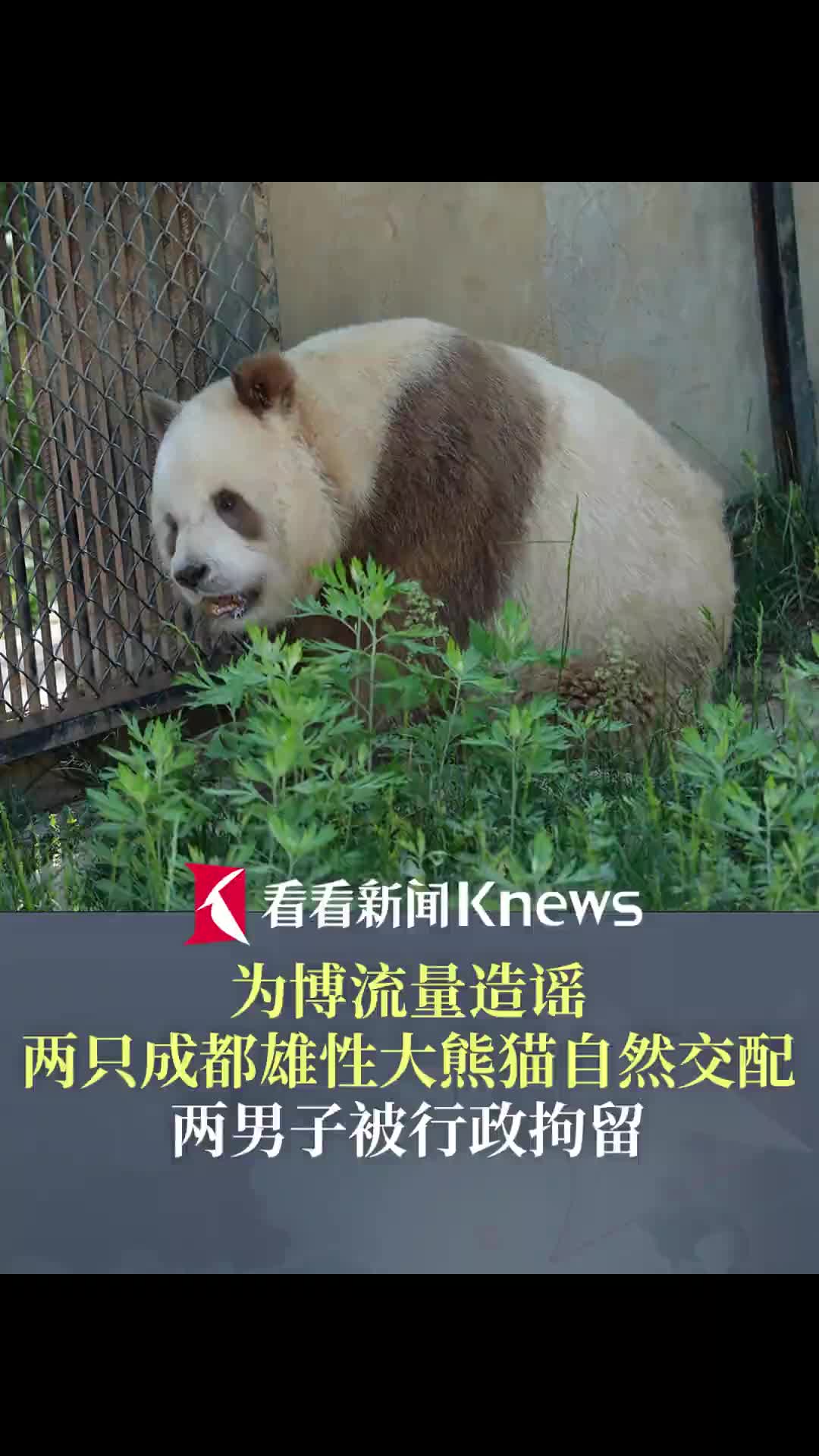 轻松一刻：开门做生意，真的什么人都能遇到