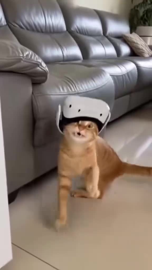 轻松一刻：男宾四位！楼上请！