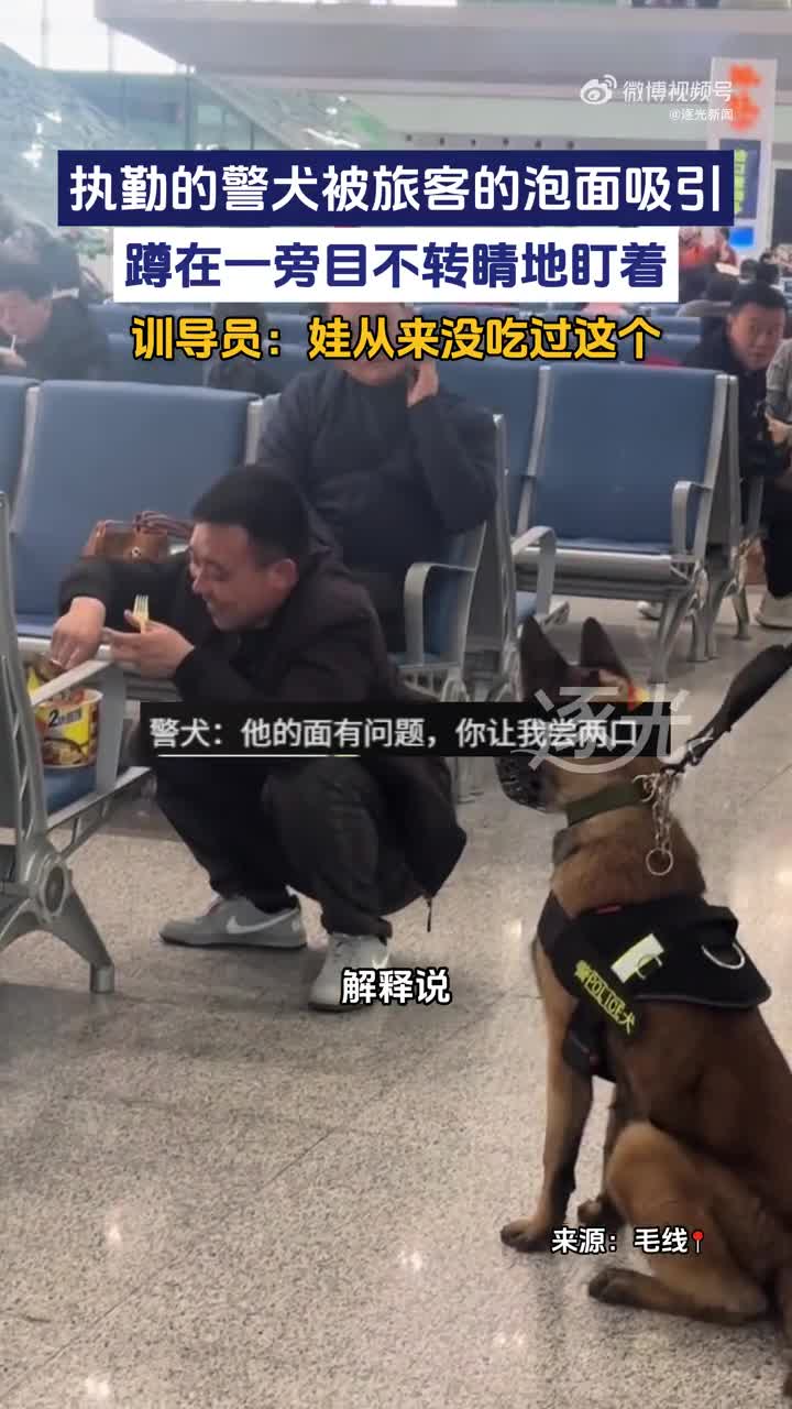 轻松一刻：理他们干什么，想停哪就停哪！